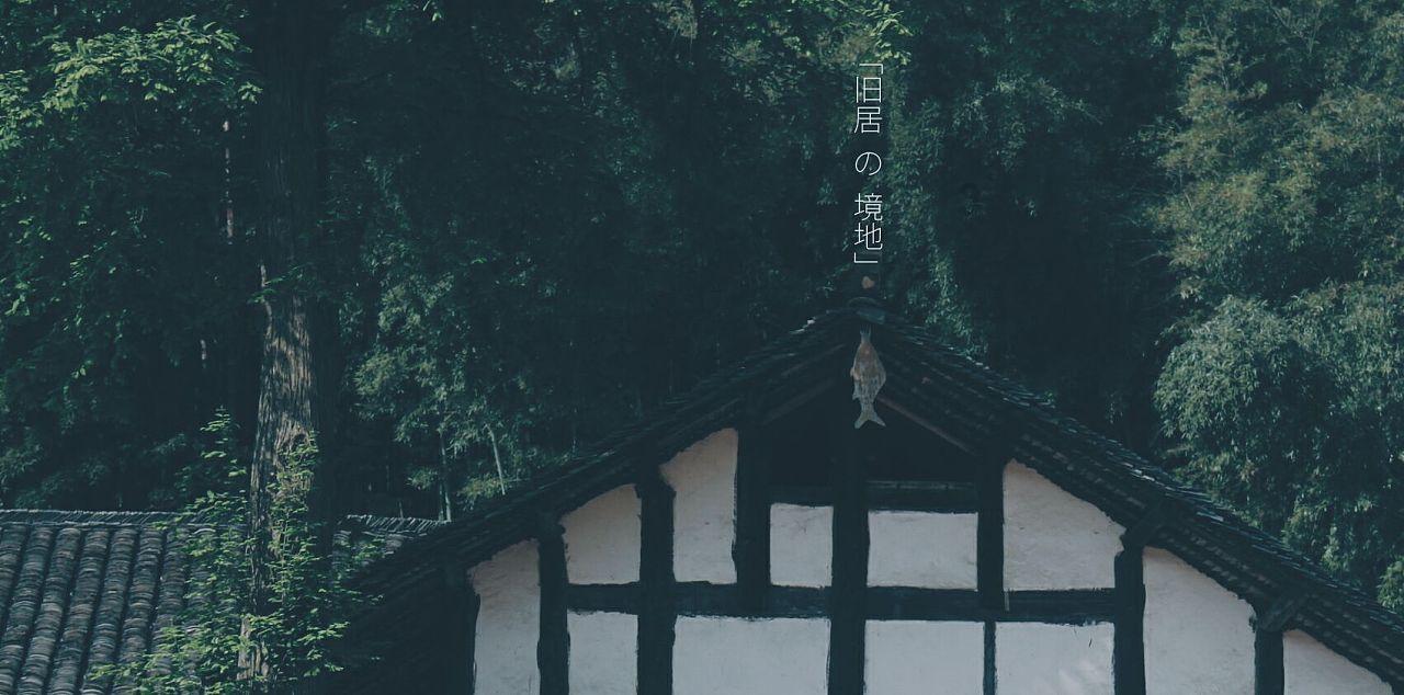 创作猫