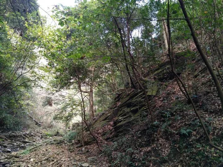 你能逃离此地吗