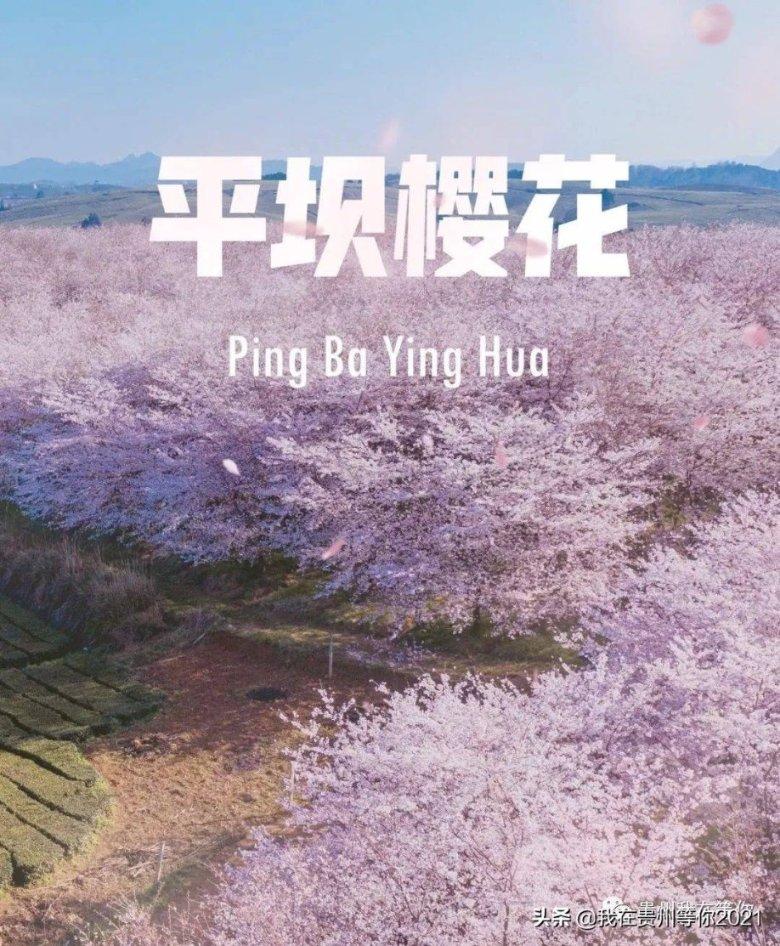 王者荣耀