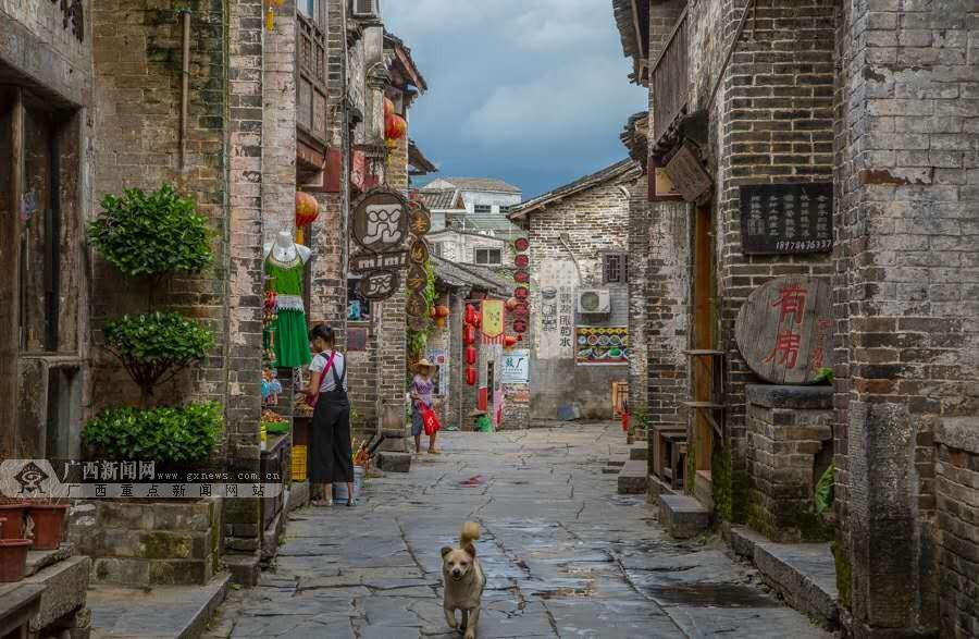 大咖汇聚共谋新发展,第六届西部康养盛典圆满落幕!